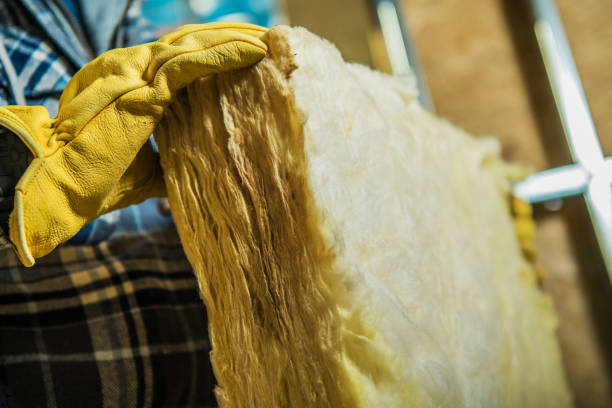 Best Insulation Installation Services in Lampasas, TX